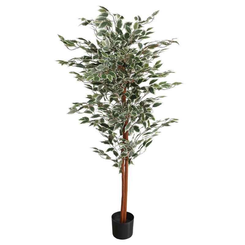 160cm Artificial Ficus with Natural Variegated Leaves